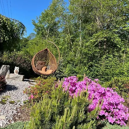Aja *